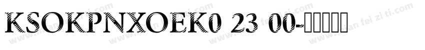 KSOKPNXOEK0 23 00字体转换